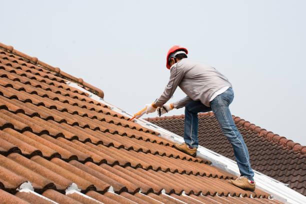 Sheet Metal Roofing in Tres Arroyos, NM