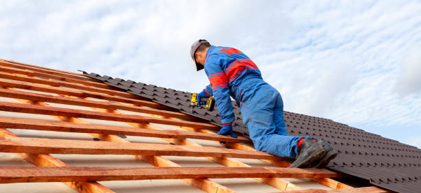 Best Solar Panel Roofing Installation  in Tres Arroyos, NM