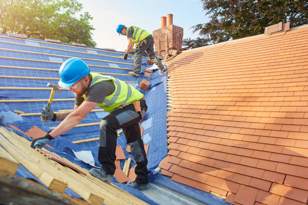 Best Roof Insulation Installation  in Tres Arroyos, NM